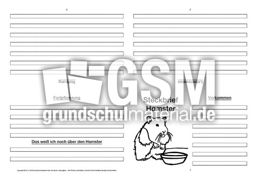 Hamster-Faltbuch-vierseitig-2.pdf